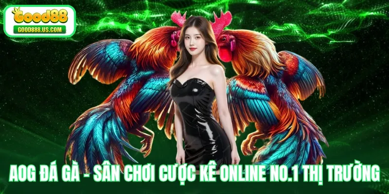 AOG Đá Gà - Sân Chơi Cược Kê Online No.1 Thị Trường