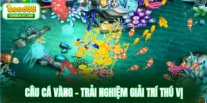 Câu Cá Vàng - Trải Nghiệm Giải Trí Thú Vị Và Hấp Dẫn