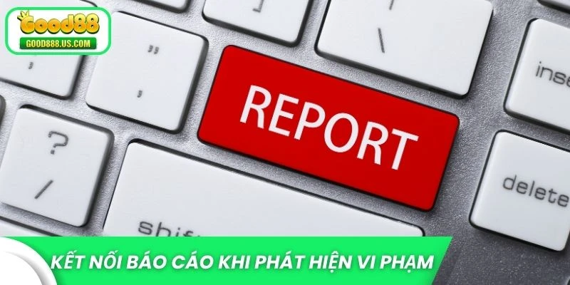 Kết nối để báo cáo khi phát hiện vi phạm
