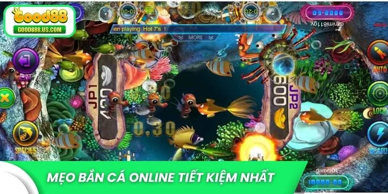 Mẹo bắn cá online tiết kiệm nhất