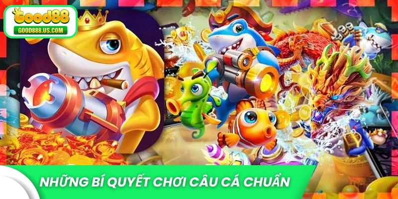 Những bí quyết chơi câu cá chuẩn nhất hiện nay