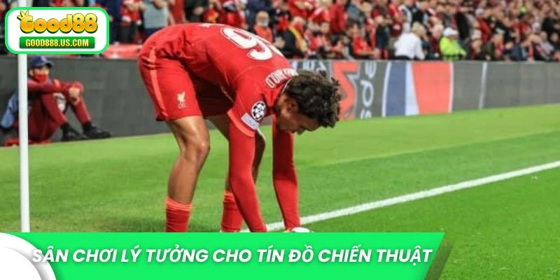 Sân chơi lý tưởng cho tín đồ chiến thuật bóng đá