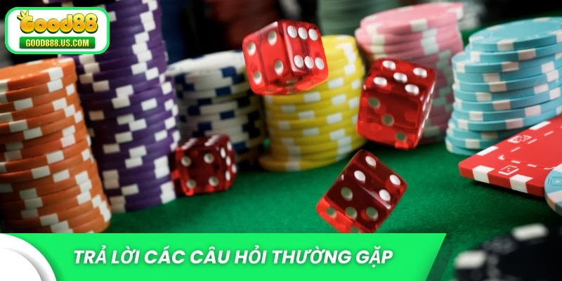 Trả lời các câu hỏi thường gặp